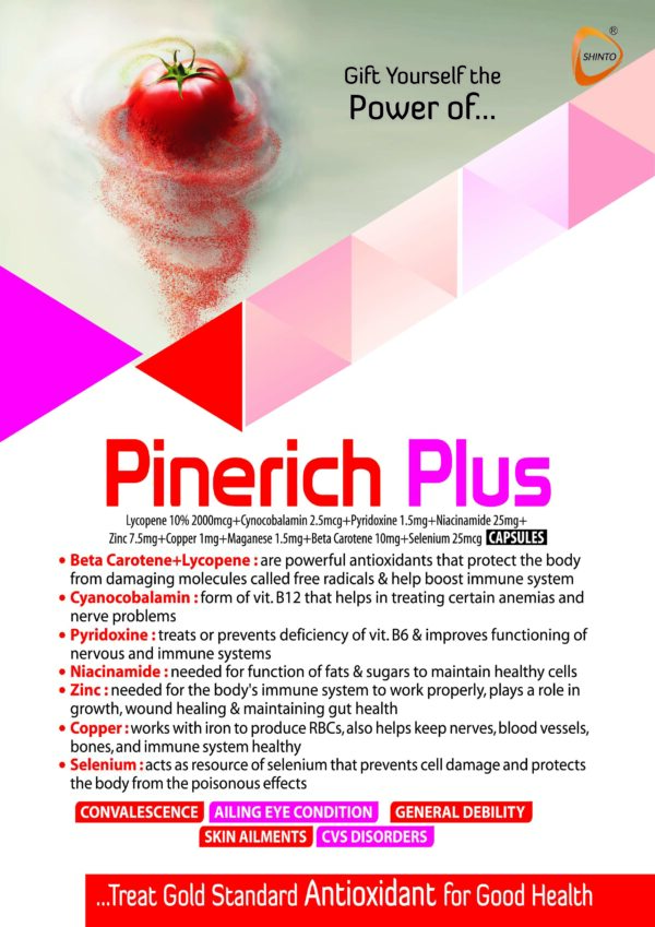 PINERICH-PLUS - Image 2