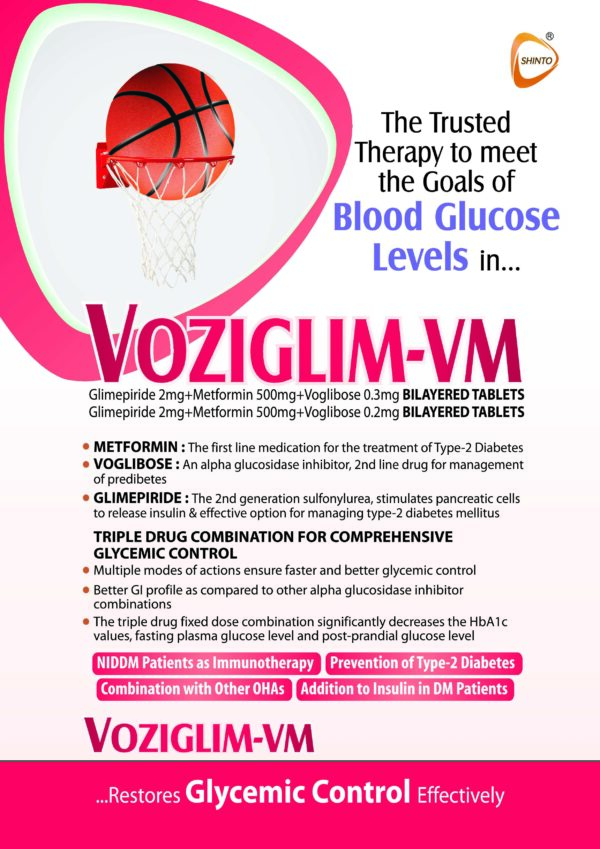 VOZIGLIM - VM3 - Image 2